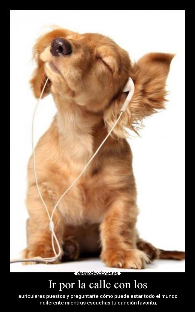 Ir por la calle con los - auriculares puestos y preguntarte cómo puede estar todo el mundo
indiferente mientras escuchas tu canción favorita.