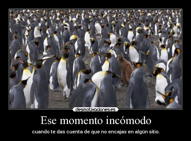 Ese momento incómodo - cuando te das cuenta de que no encajas en algún sitio.