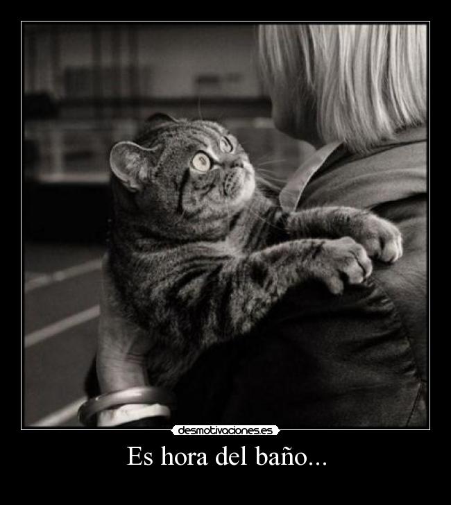 Es hora del baño... -
