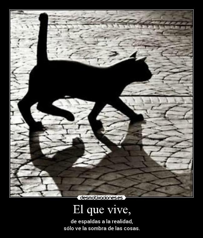 El que vive, - de espaldas a la realidad,
sólo ve la sombra de las cosas.