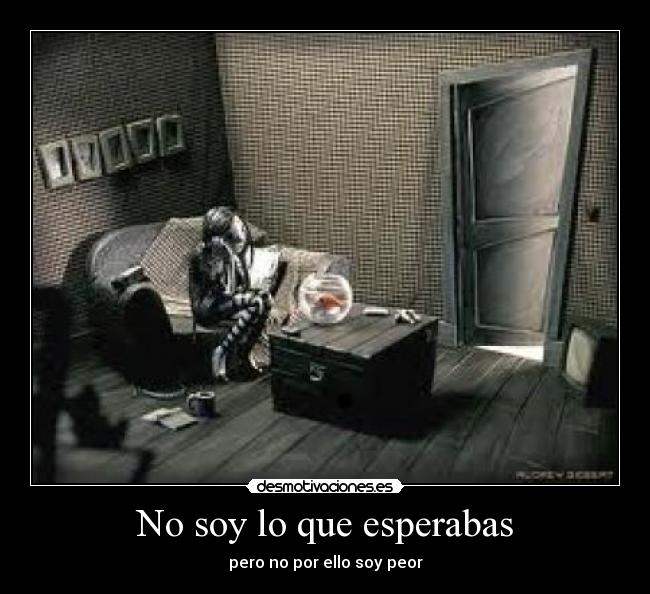 No soy lo que esperabas - pero no por ello soy peor
