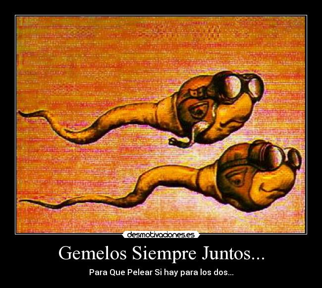Gemelos Siempre Juntos... -