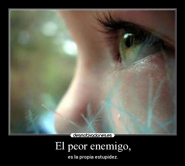 El peor enemigo, - es la propia estupidez.