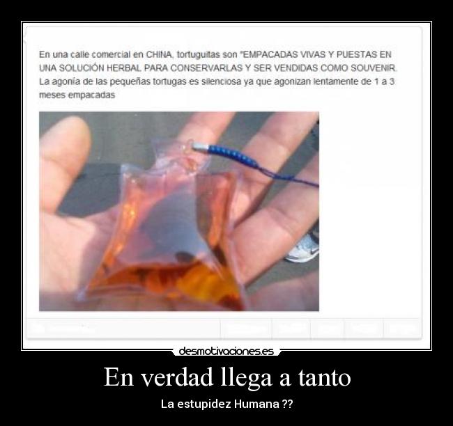 En verdad llega a tanto - La estupidez Humana ??