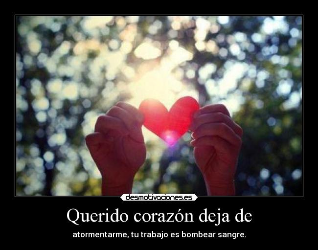 Querido corazón deja de - 