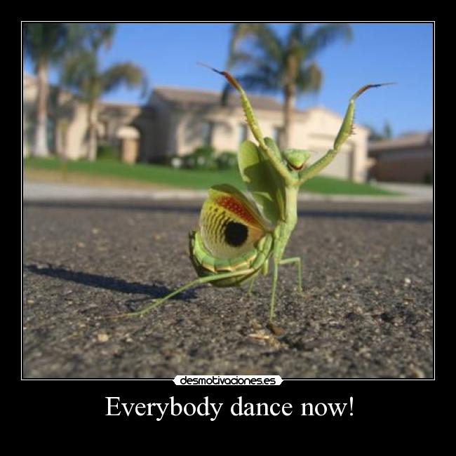 Everybody dance now! -