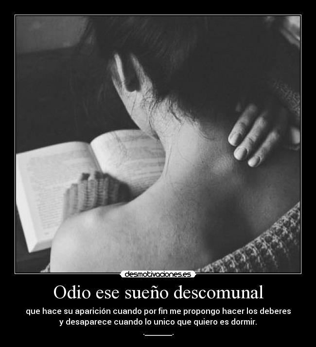 carteles odio enserio soporto desmotivaciones