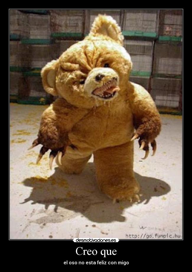 Creo que - el oso no esta feliz con migo