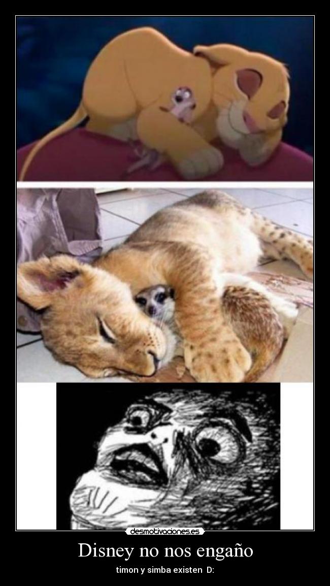 Disney no nos engaño -