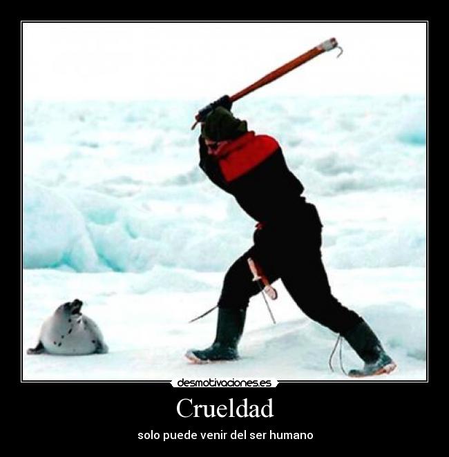 Crueldad - solo puede venir del ser humano