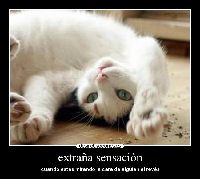 extraña sensación - cuando estas mirando la cara de alguien al revés