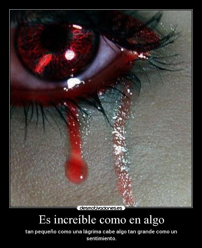 carteles habia perro llamado chiste atropello carro acabo chiste desmotivaciones