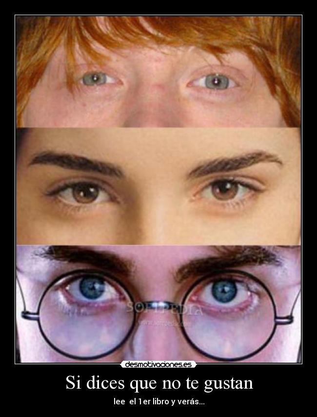 Si dices que no te gustan - lee el 1er libro y verás...