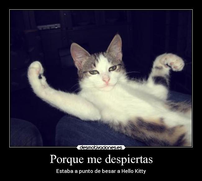 carteles lrc1894 todos suenan con diferentes cosas desmotivaciones