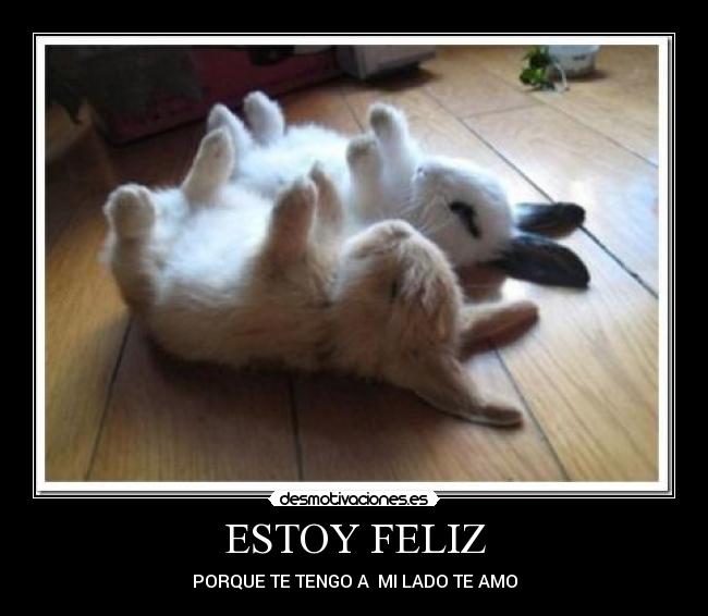 carteles mandira solorezano desmotivaciones