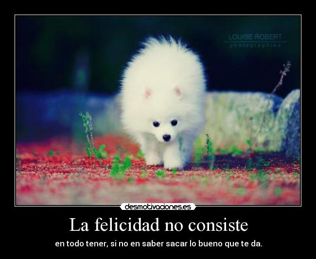 La felicidad no consiste - en todo tener, si no en saber sacar lo bueno que te da.