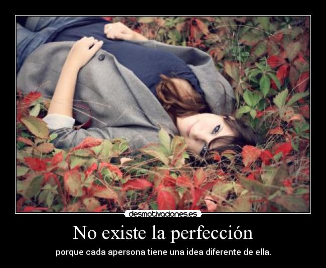 No existe la perfección -