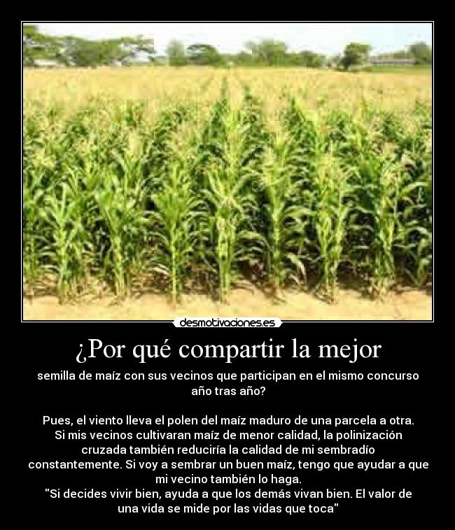 carteles antoniogachero desmotivaciones