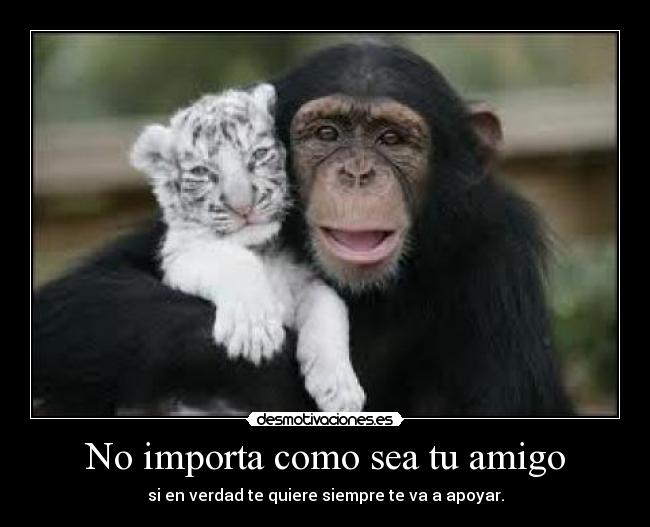 No importa como sea tu amigo - si en verdad te quiere siempre te va a apoyar.