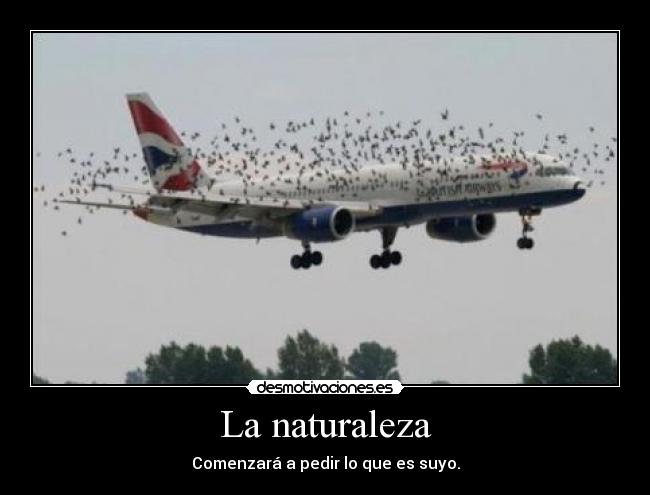 La naturaleza - 