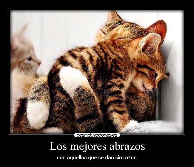Los mejores abrazos - 