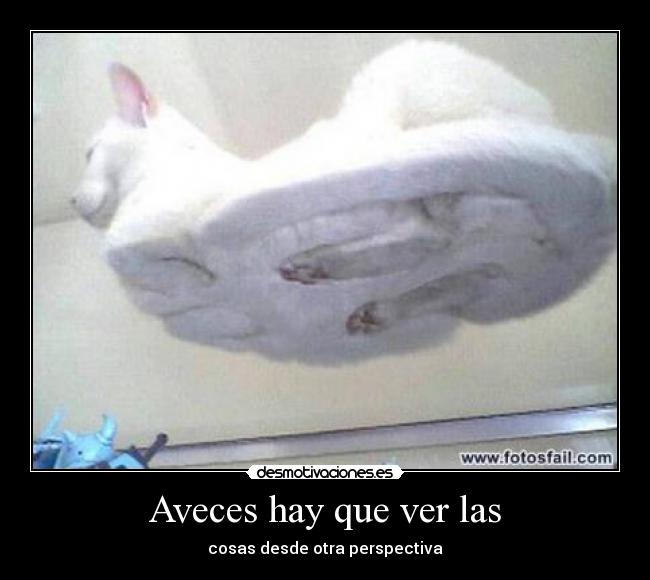 Aveces hay que ver las - 