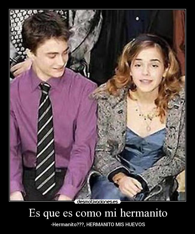 carteles hermanito desmotivaciones