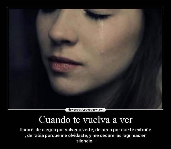Cuando Te Vuelva A Ver Te Voy A Amarrar Cuando te vuelva a ver | Desmotivaciones
