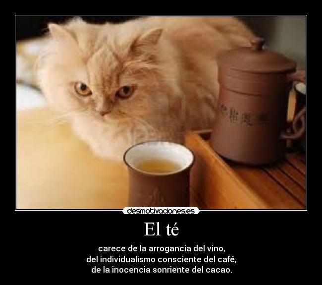 El té - carece de la arrogancia del vino,
del individualismo consciente del café,
de la inocencia sonriente del cacao.