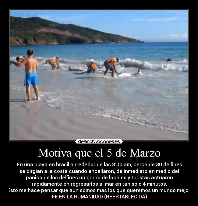 carteles motiva delfines humanidad desmotivaciones