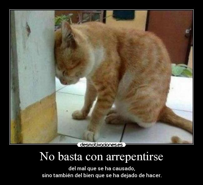 No basta con arrepentirse - 