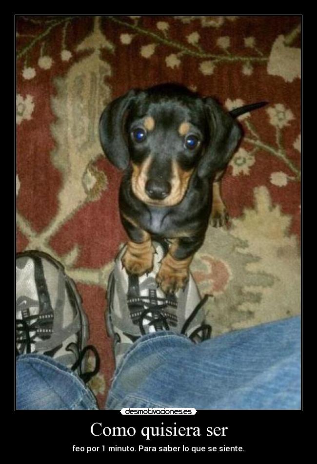 Como quisiera ser - feo por 1 minuto. Para saber lo que se siente.