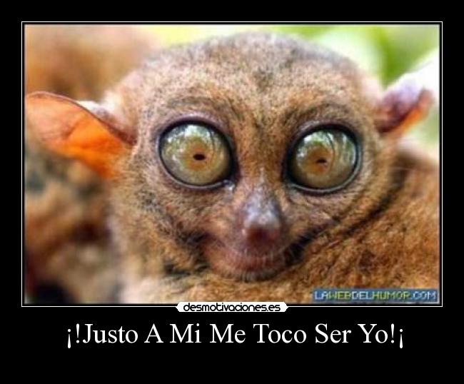 ¡!Justo A Mi Me Toco Ser Yo!¡ -