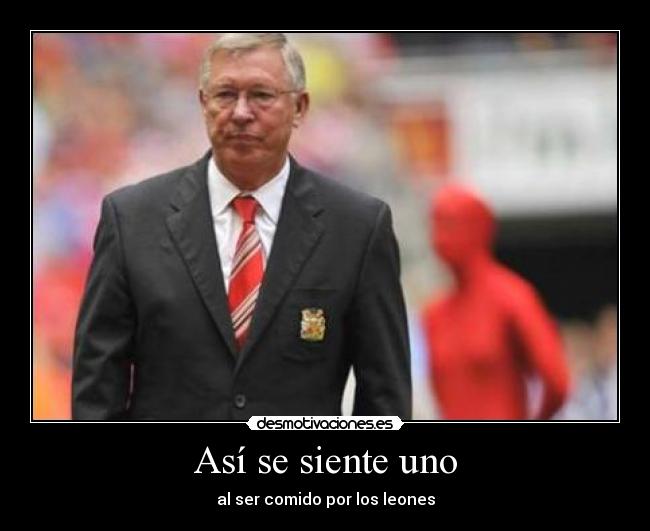 Así se siente uno - al ser comido por los leones