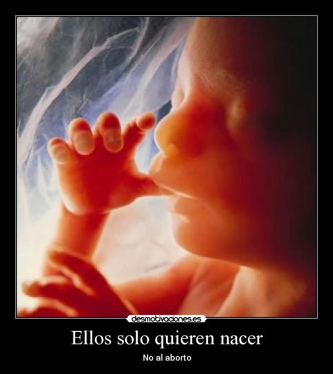 Ellos solo quieren nacer -