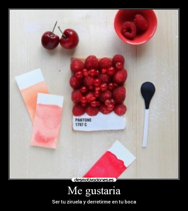 Me gustaria - Ser tu ziruela y derretirme en tu boca