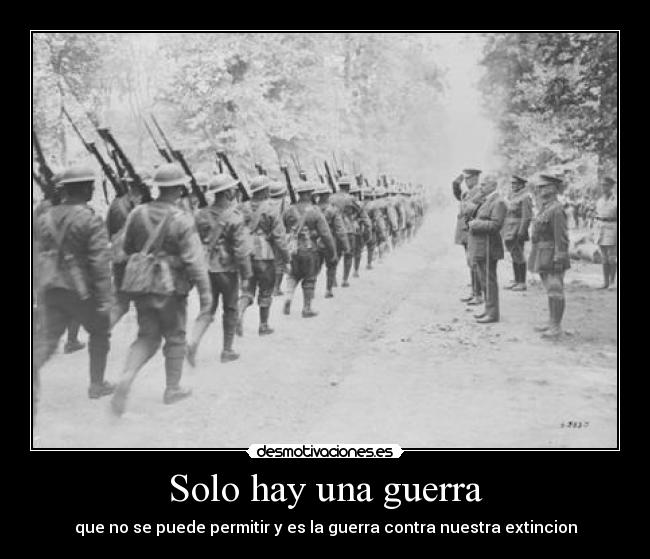 Solo hay una guerra - 