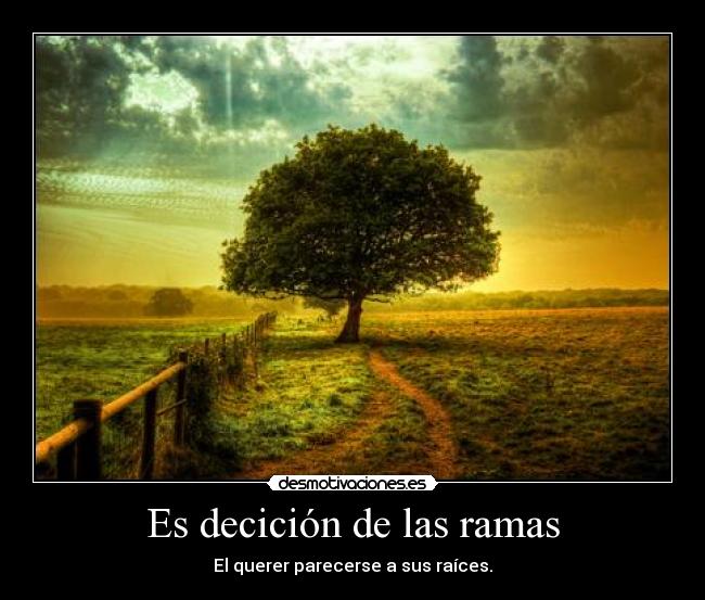 Es decición de las ramas - 