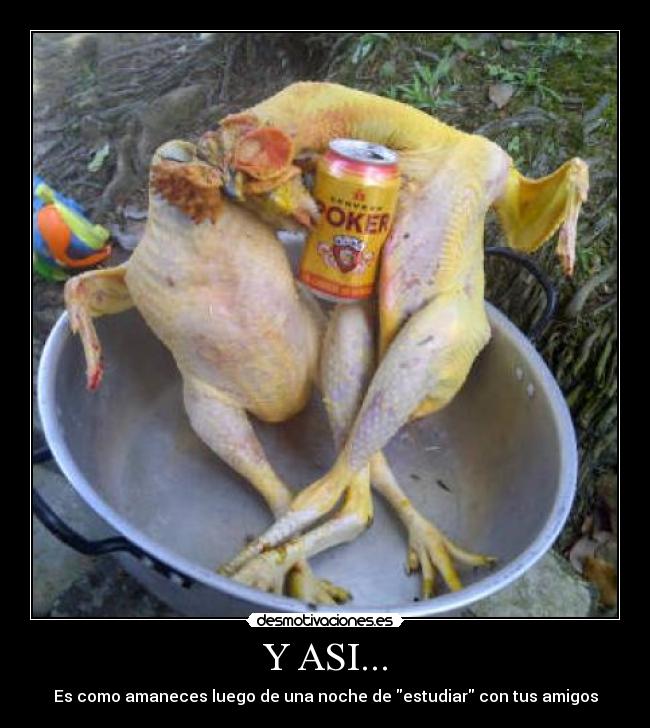 carteles amigos estudiar asi amaneces luego una noche trago desmotivaciones