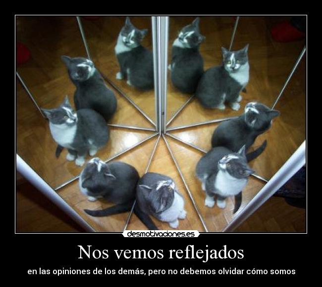 Nos vemos reflejados - en las opiniones de los demás, pero no debemos olvidar cómo somos