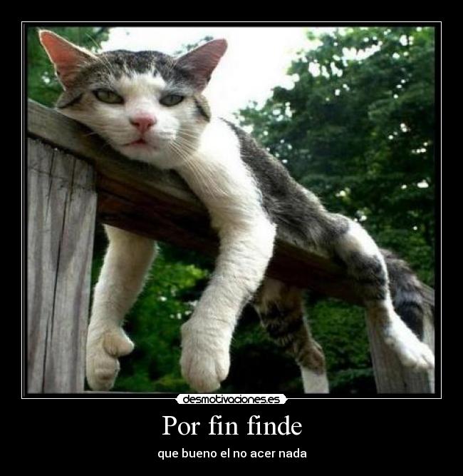 carteles este finde tirado sin acer nada desmotivaciones