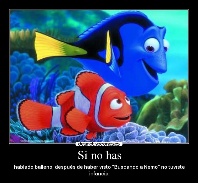 Si no has - hablado balleno, después de haber visto Buscando a Nemo no tuviste infancia.