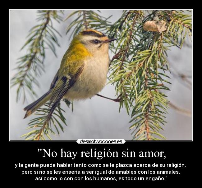 No hay religión sin amor, - y la gente puede hablar tanto como se le plazca acerca de su religión,
pero si no se les enseña a ser igual de amables con los animales,
así como lo son con los humanos, es todo un engaño.