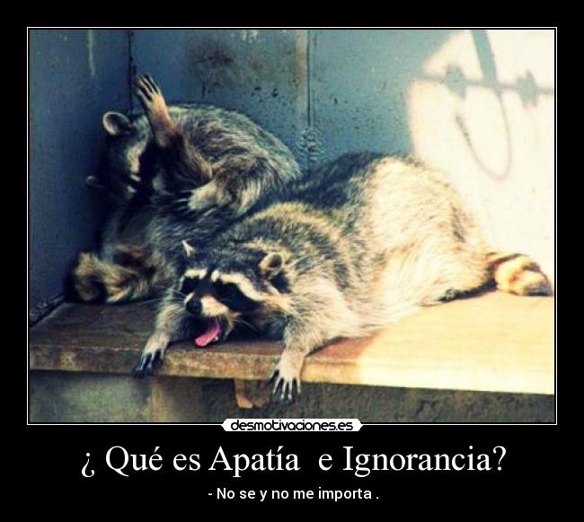 ¿ Qué es Apatía e Ignorancia? -