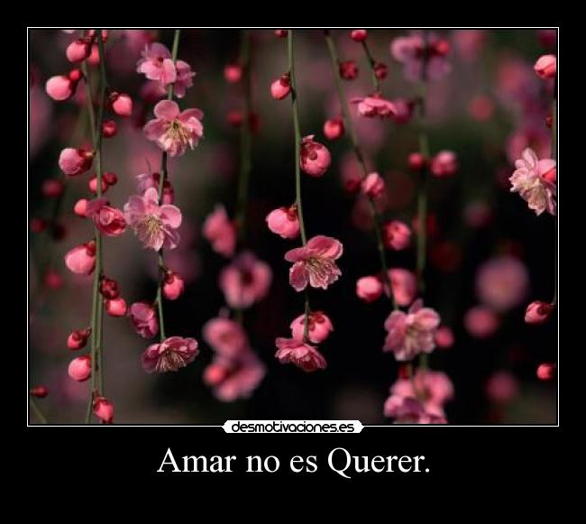 Amar no es Querer. - 