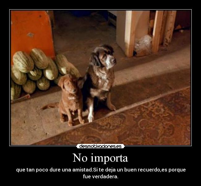 No importa - 