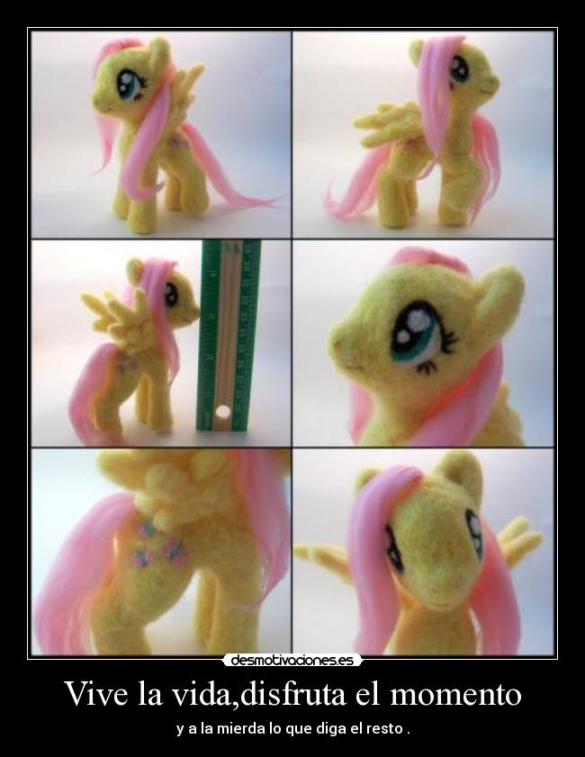Vive la vida,disfruta el momento - 