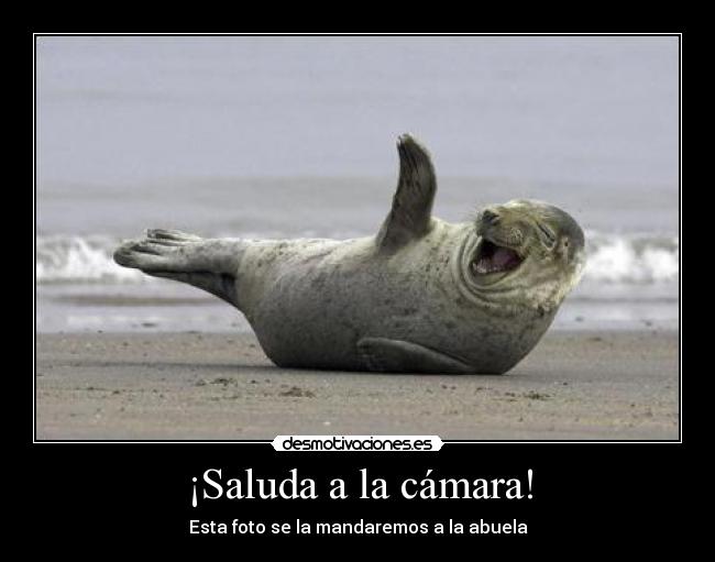 ¡Saluda a la cámara! - Esta foto se la mandaremos a la abuela