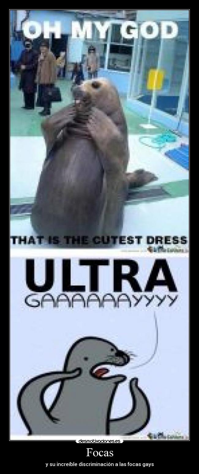 Focas - y su increíble discriminación a las focas gays