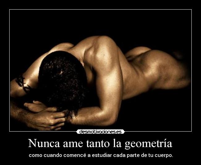 Nunca ame tanto la geometría -